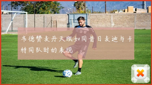 韦德赞麦丹天赋如同昔日麦迪与卡特同队时的表现