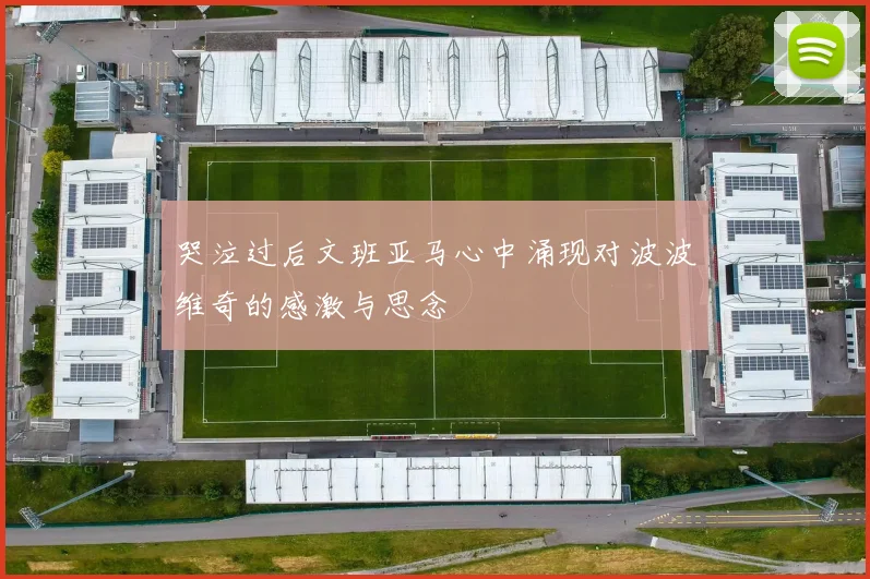 哭泣过后文班亚马心中涌现对波波维奇的感激与思念